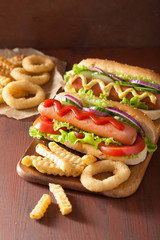 hotdog with ketchup mustard vegetables and french fries