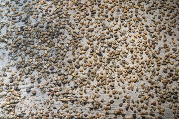 Seamless rock texture background close up
