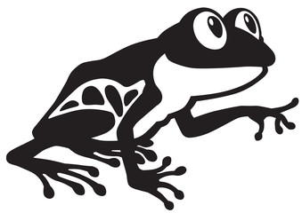 Obraz premium cartoon red eye tree frog. Black and white side view image