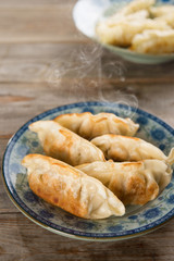 Asian dish pan fried dumplings