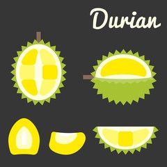 Vector durian, flat design
