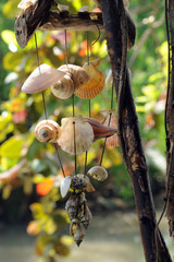 Collier de coquillages