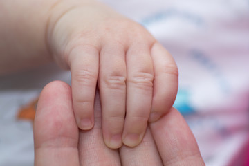 little baby hands