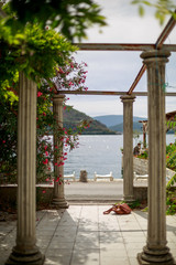 Fototapete bei efototapeten.de bestellen   