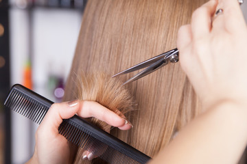 Hairdresser cut blond hair of a woman