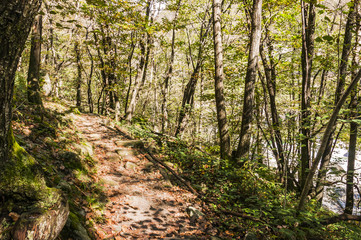 Lavertezzo, Dorf, Fluss Verzasca, Verzasca, Verzascatal, Valle Verzasca, Wanderweg, Waldweg, Uferweg, Flusswanderung, Herbst, Tessin, Schweiz