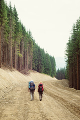 deforestation on the slope for mountain road construction