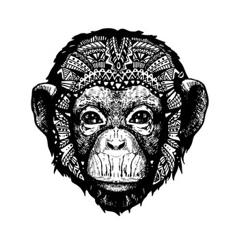 Monkey Head doodle style