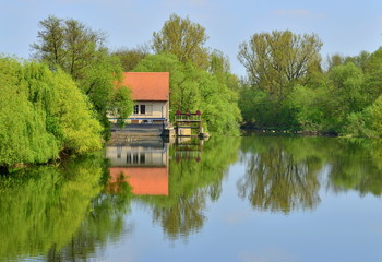 Obraz premium Frühling am neckar