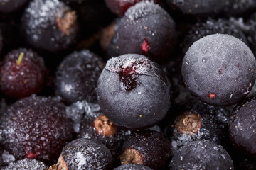 Black currant macro background, covered with ice and snow