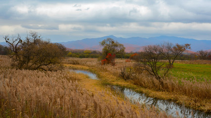 Fototapeta na wymiar Lake in the meadow in autumn