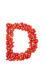 Red hip rose capital letter d