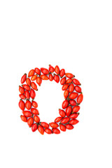 Red hip rose letter o