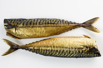 Mackerel isolated on white.