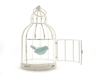 Fototapeta na wymiar bird in cage