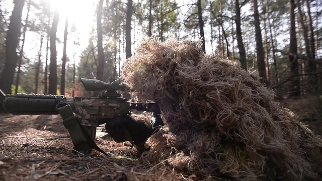 Sniper takes his position/Man in sniper suit with rifle in hand takes  position for shot in the forest