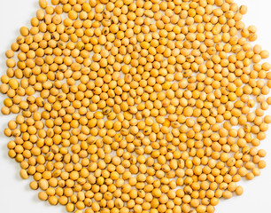soybeans on white background..