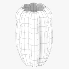 vase black and white wireframe image