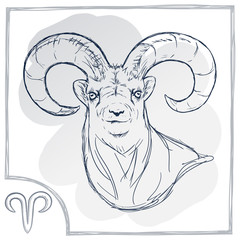 Sign of the zodiac painted by hand. Horoscope Zodiac Star signs. Sketch zodiac signs in vintage style. Zodiac signs collection. Aries. 