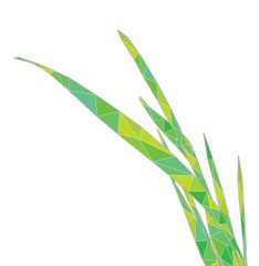 triangle blade of grass, vector illustration