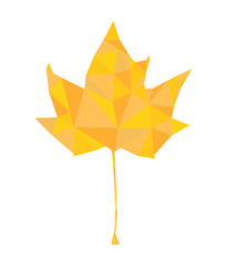 yellow triangular leaf, vector illustration