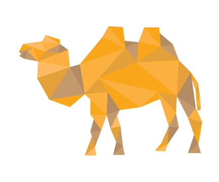 polygonal camel, vector illustration