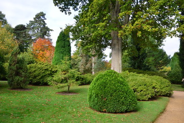 An English country garden on a cloudy day in the Fall