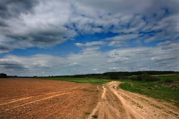Fototapeta premium The road to the cottage. Spring.