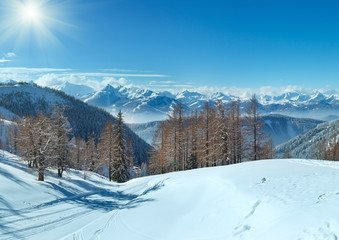 Fototapeta na wymiar Winter grove near Dachstein mountain massif