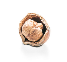Hazelnut isolated