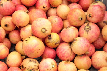 Granada mollar collection of Elche