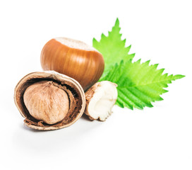 Hazelnut isolated