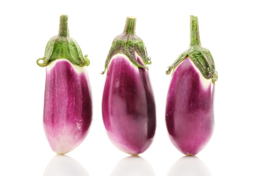 raw bright purple eggplants