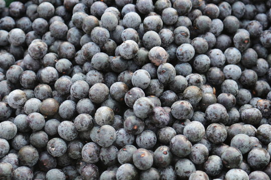 A&ccedil;a&iacute;
