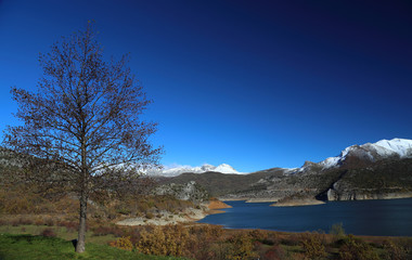 Laguna