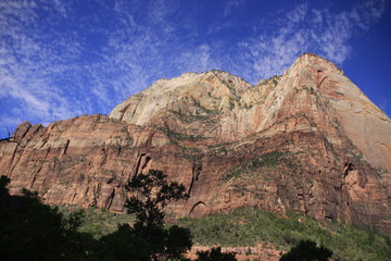 superbe Zion Park