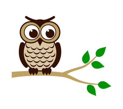 Funny owl sitting on branch