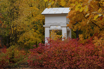 White gazebo in a park.
