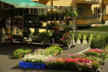 Fototapeta na wymiar Flower market