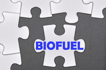Fototapeta premium jigsaw puzzle written word biofuel