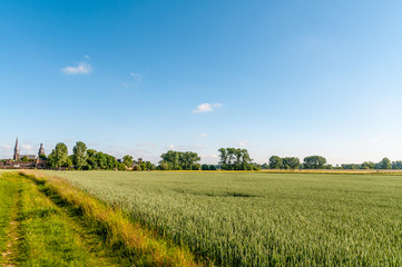 2480 Landwirtschaft am Niederrhein
