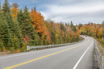 Winding Road Lined by Colorful Trees in Autumn