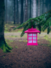 Lantern in the forest II