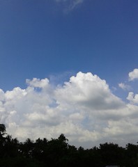Obraz premium Clear sky in autumn