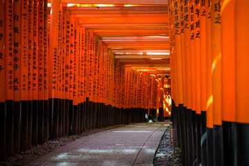 Obraz premium Fushimi Inari Shrine 