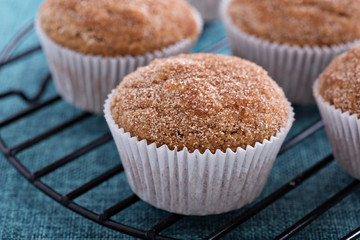 Apple sauce muffins with spices