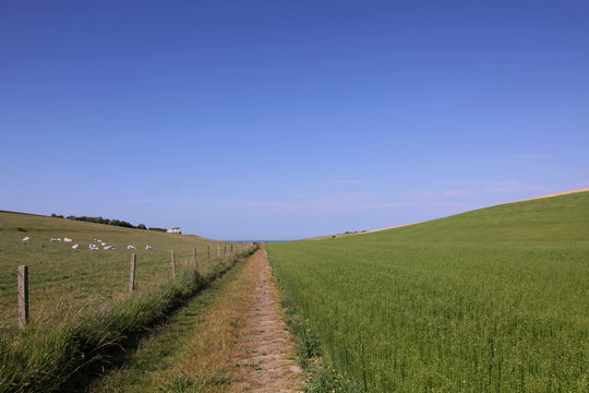 L&agrave;-bas un chemin m&egrave;ne &agrave; la mer...