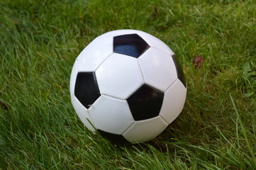 Fototapeta na wymiar Black and White soccer ball on a green grass field