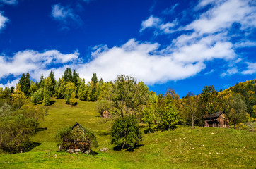 Obraz premium Fall colors around a cottage house. Autumn landscape in mountains with colorful forest and blue sky.