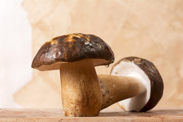 Boletus mushrooms